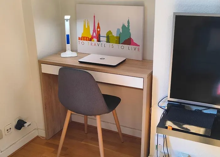 我的梅斯公寓 * 梅斯