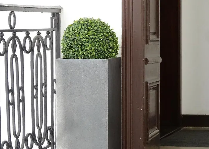 我的梅斯公寓 *